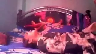 شرجي ومهبلي مصري: أنبوب صريح مجاني