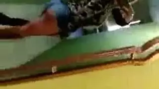 مذيعات الليه ار تي