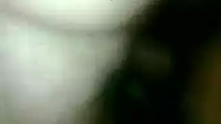 مجموهه نيك سود