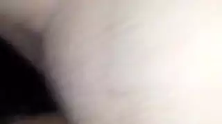 الهرة مشعر السراويل القصيرة راعية البقر